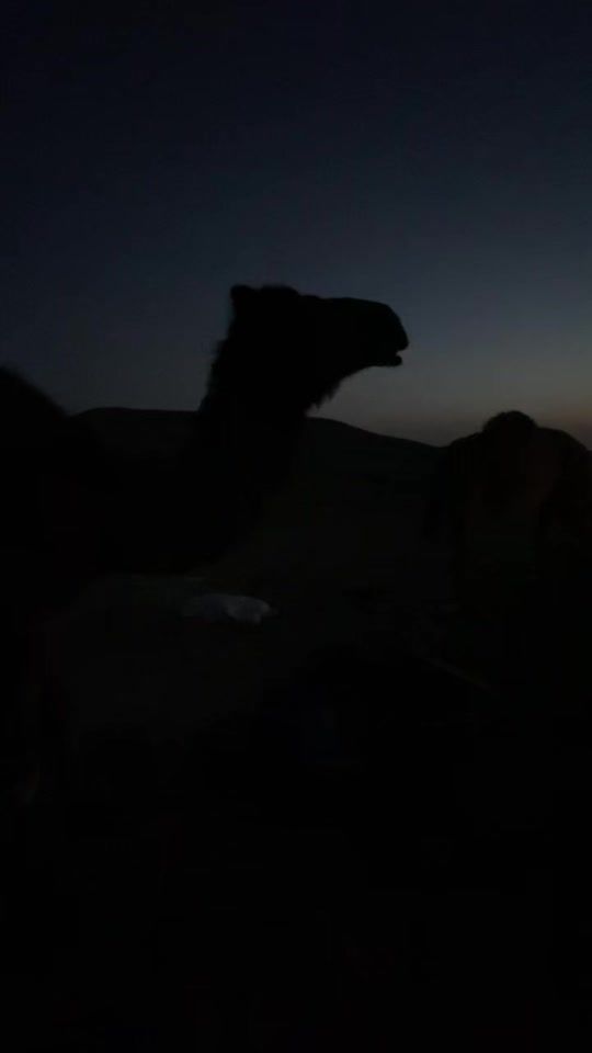 TikTok video thumbnail by llqesr_