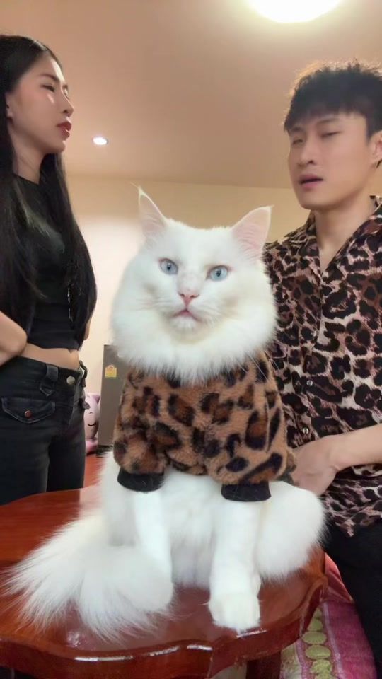 TikTok video thumbnail by mojirostyle