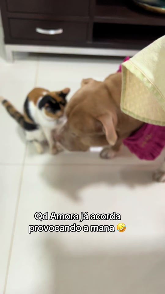 TikTok video thumbnail by zara_pitt