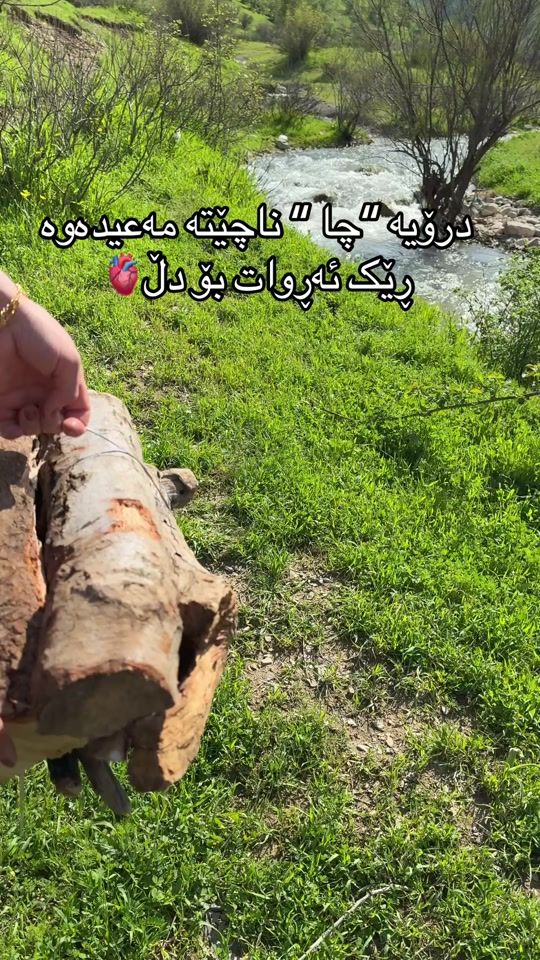 TikTok video thumbnail by mina___food