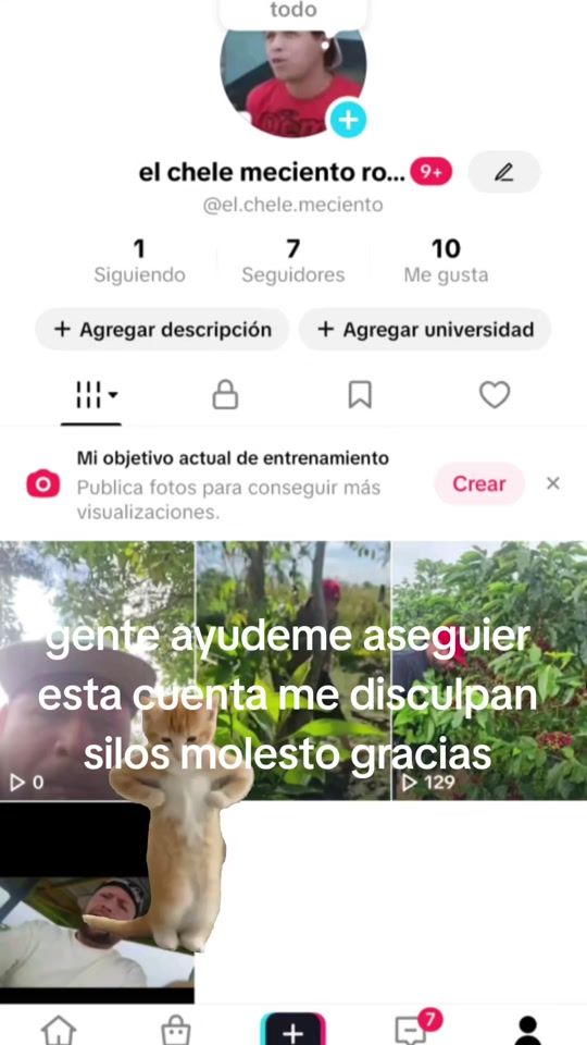 TikTok video thumbnail by elchele917
