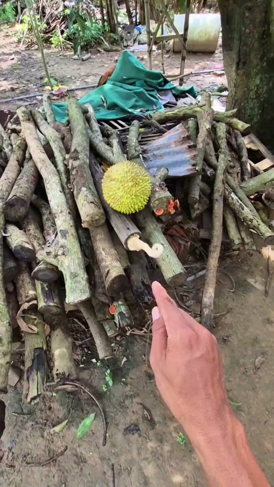 TikTok video thumbnail by mohsinsarker1