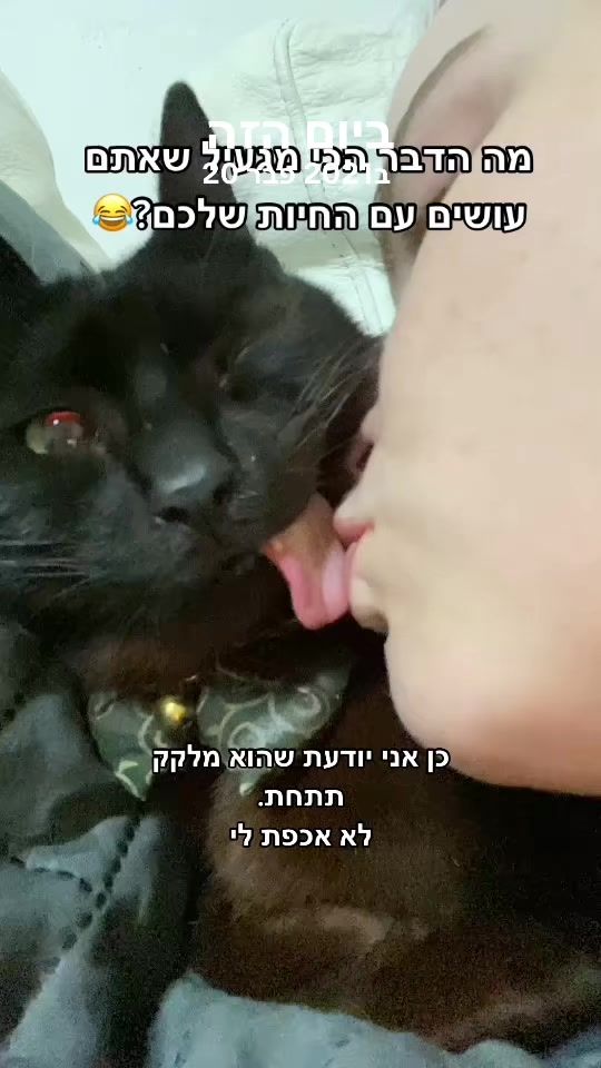 TikTok video thumbnail by zimesthecat
