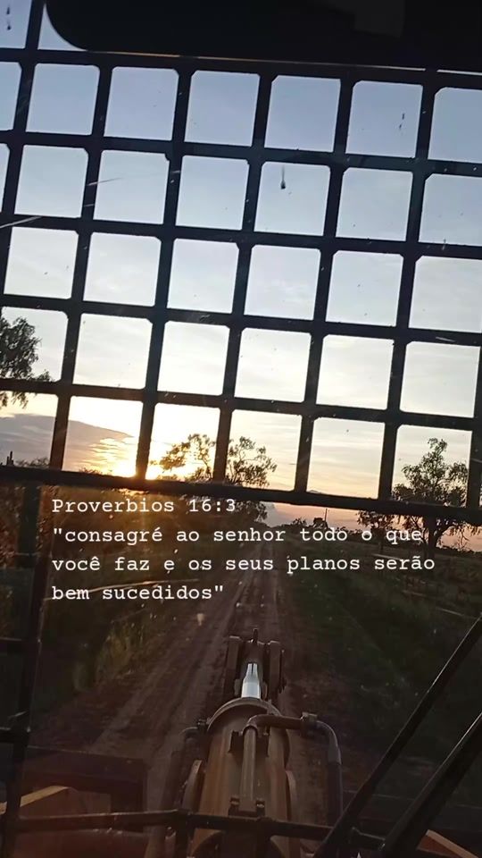TikTok video thumbnail by araujopalacio