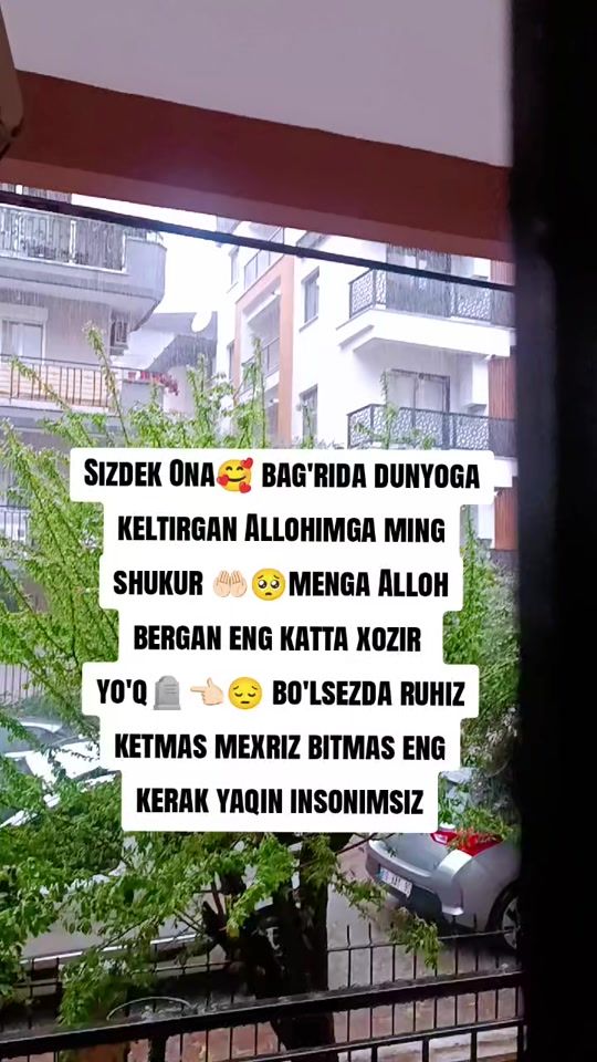 TikTok video thumbnail by muhammadyusuf6364