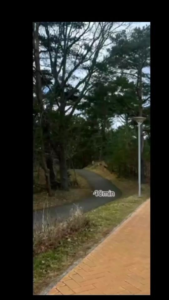 TikTok video thumbnail by coda3661