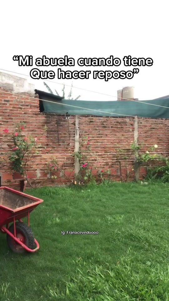 TikTok video thumbnail by franacevedoooo