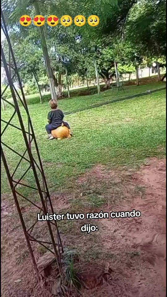 TikTok video thumbnail by noemi_paez13