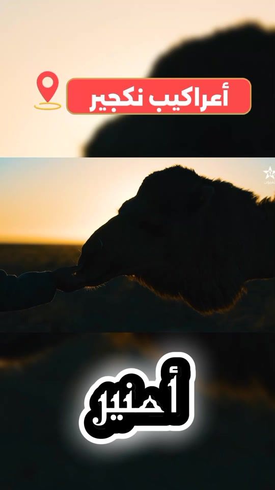 TikTok video thumbnail by 19b.zr