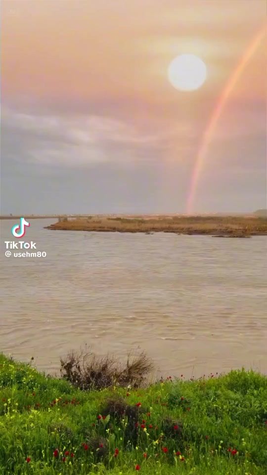 TikTok video thumbnail by oorood7676bb