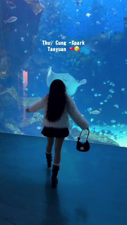TikTok video thumbnail by xuyentun