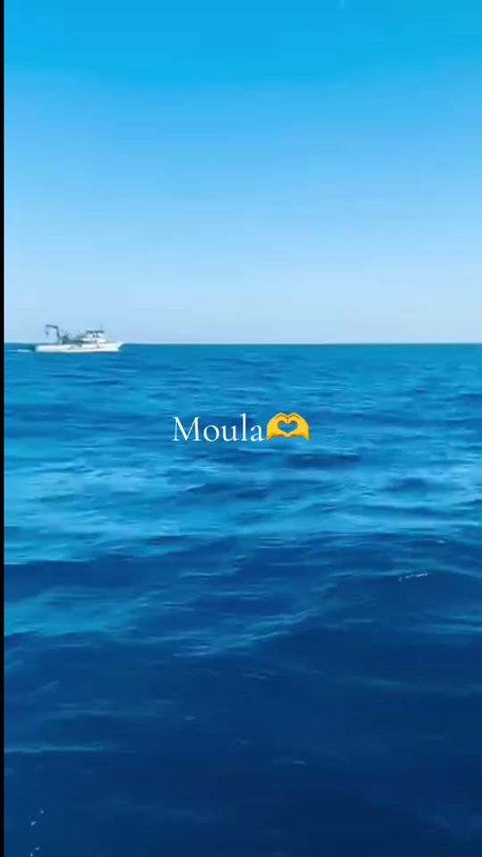 TikTok video thumbnail by dhawamine