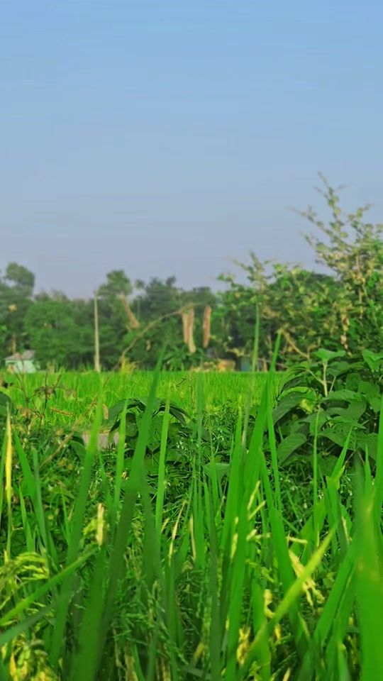 TikTok video thumbnail by ik_sani_ahmed_official