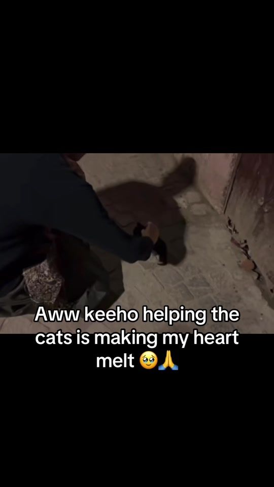 TikTok video thumbnail by silienced1011