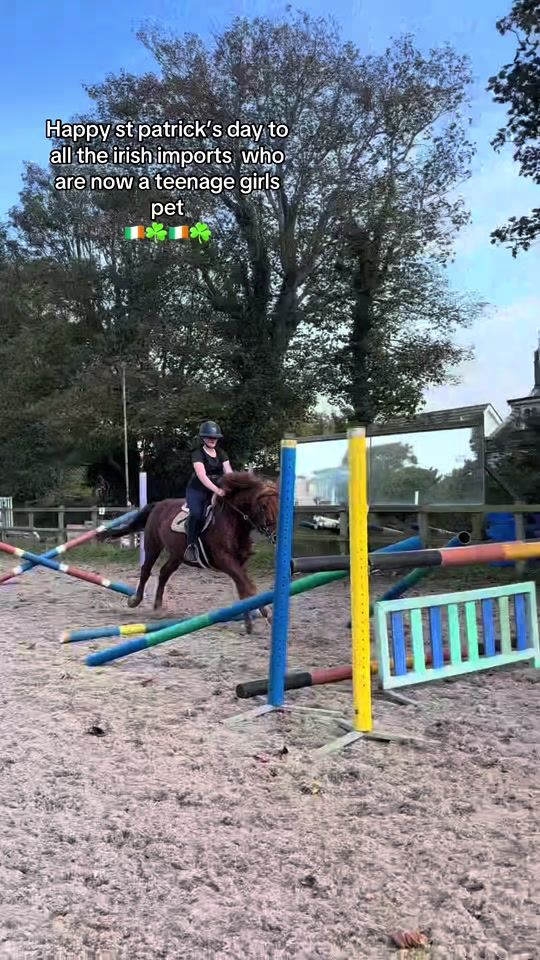 TikTok video thumbnail by jess_equine17