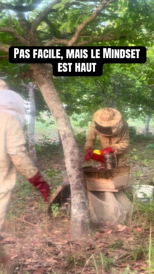 TikTok video thumbnail by empiredelabeille