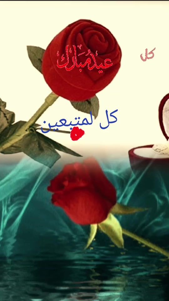 TikTok video thumbnail by user46579611118458
