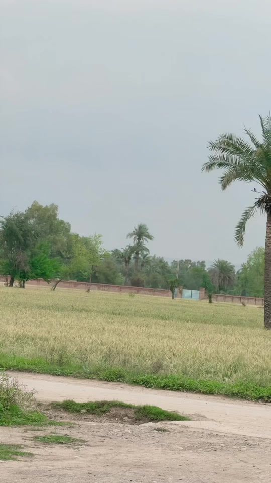 TikTok video thumbnail by syedfarhani1