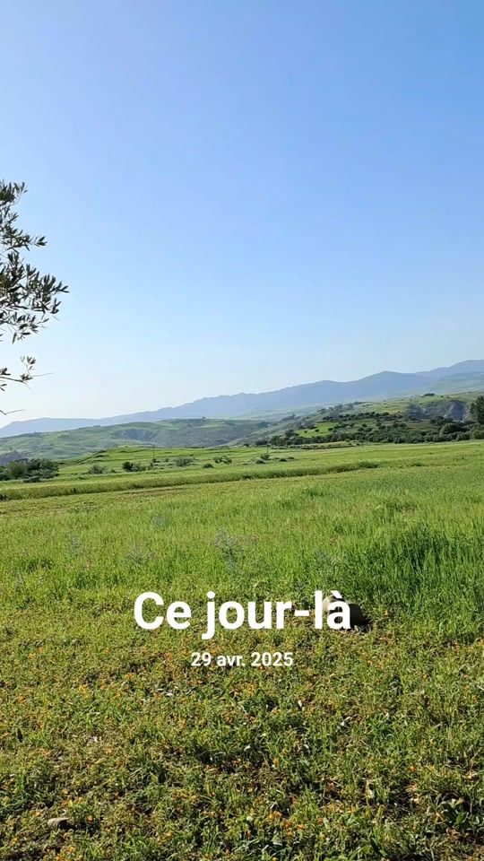TikTok video thumbnail by errabhi56