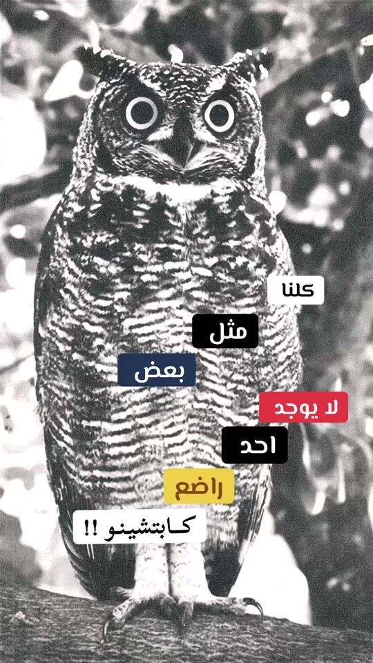 TikTok video thumbnail by omar..10.82