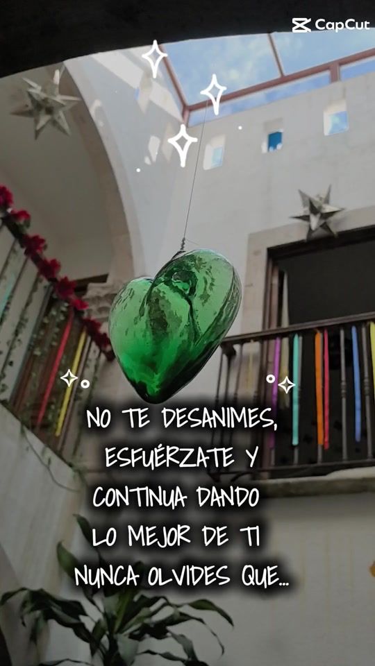 TikTok video thumbnail by casa.shanti