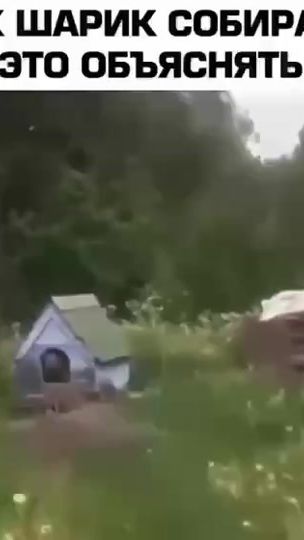 TikTok video thumbnail by birik79rus