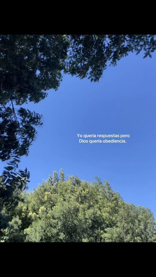 TikTok video thumbnail by camiilalizama