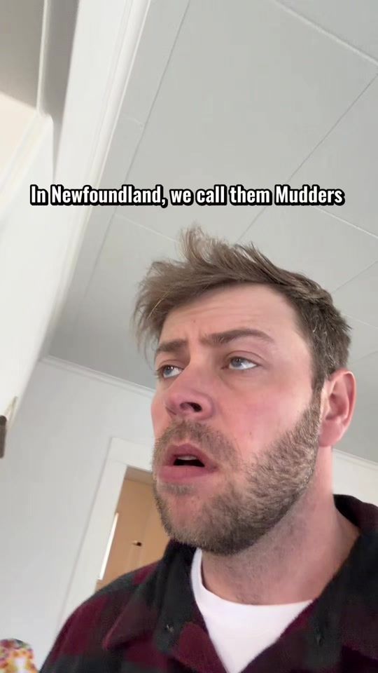 TikTok video thumbnail by scottieshow