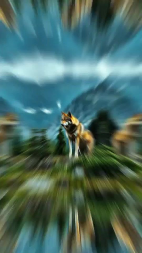 TikTok video thumbnail by .0004072