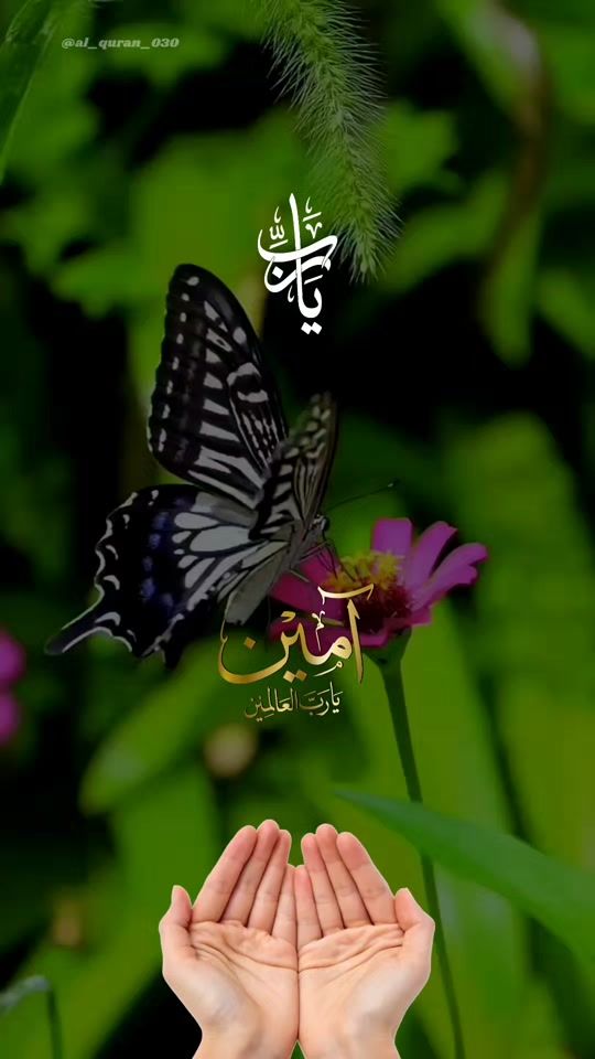 TikTok video thumbnail by al_quran_030