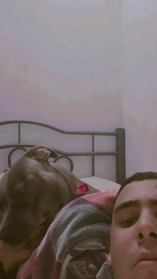 TikTok video thumbnail by adriansb2002