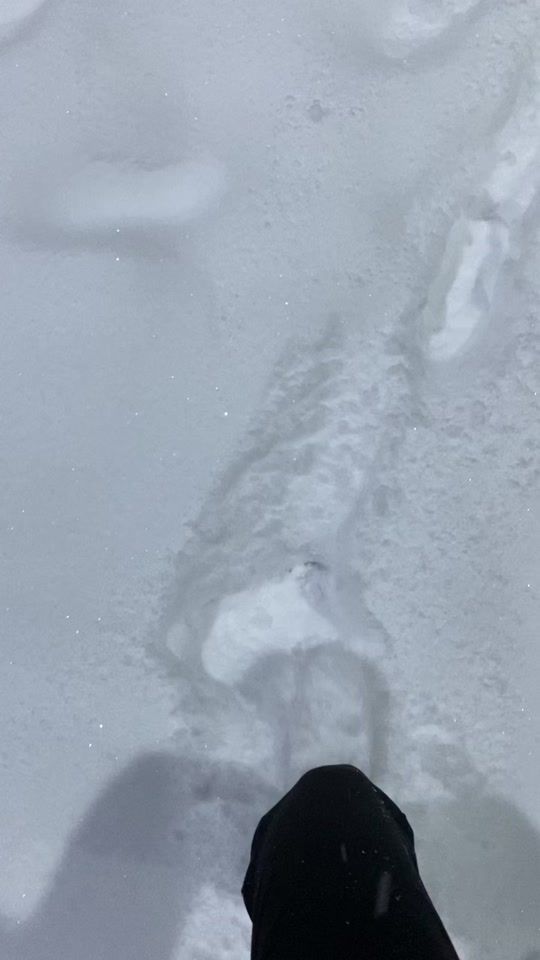 TikTok video thumbnail by cansu.yaman52