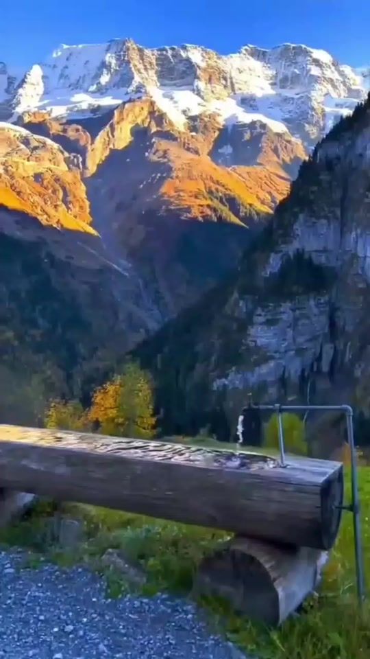TikTok video thumbnail by maxmaraeur