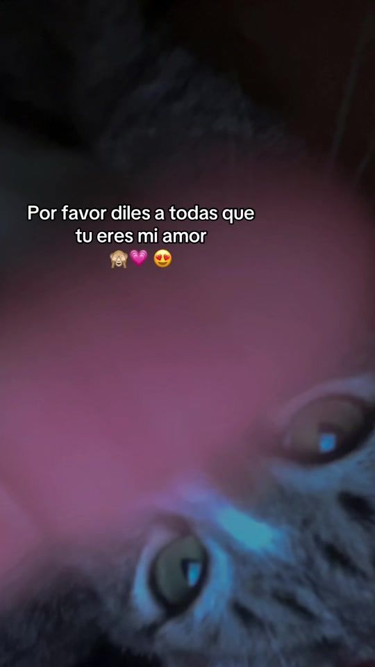 TikTok video thumbnail by p.cany18