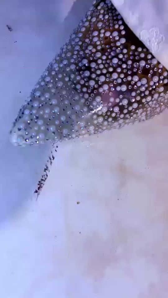 TikTok video thumbnail by styliste.aicha
