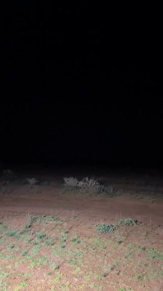 TikTok video thumbnail by y.pp