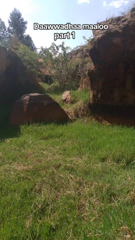 TikTok video thumbnail by attee_jaree