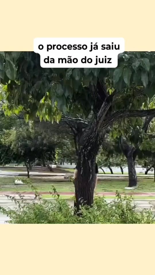 TikTok video thumbnail by motivafe