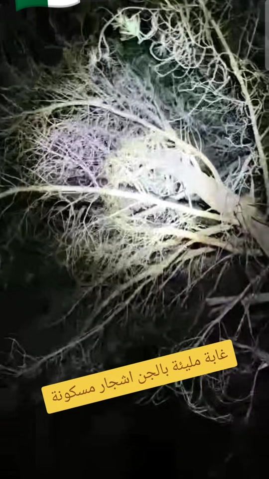 TikTok video thumbnail by problemdz2