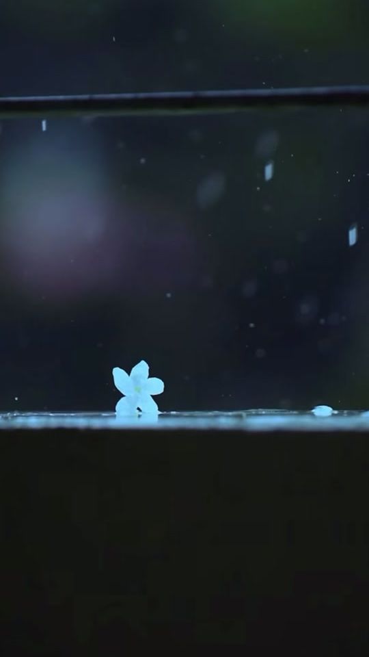 TikTok video thumbnail by lessons.thoughts