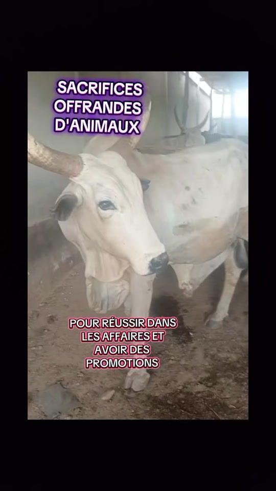 TikTok video thumbnail by thadkiel