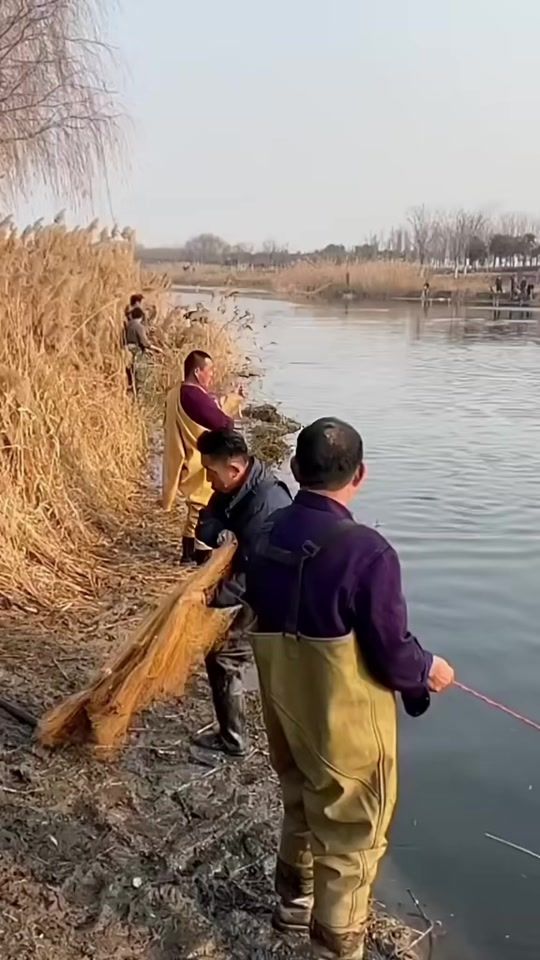 TikTok video thumbnail by pescador_solitario