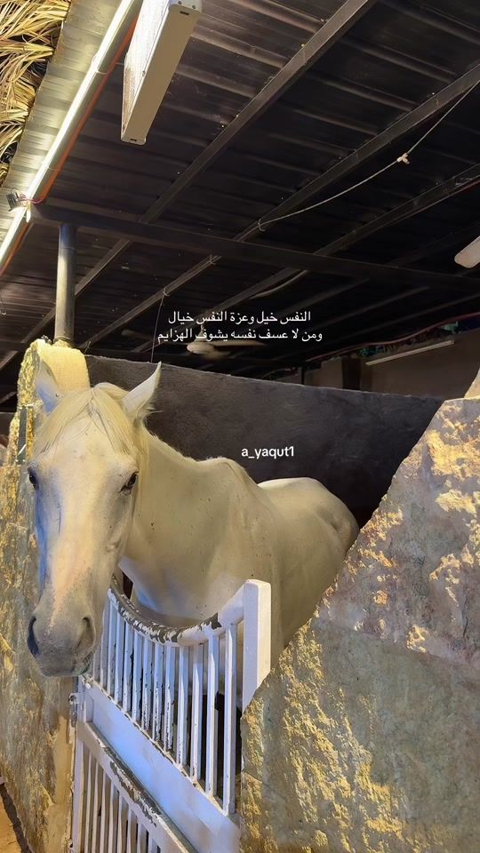 TikTok video thumbnail by a_yaqut1