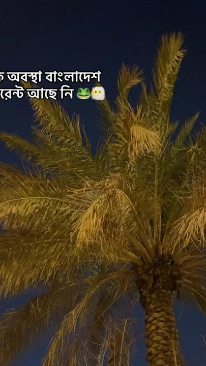TikTok video thumbnail by arafat__islam3