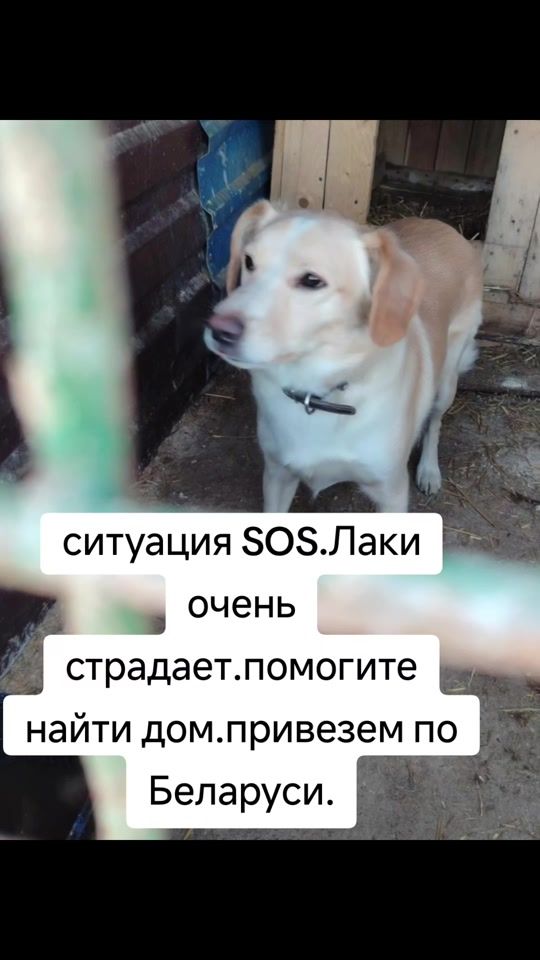 TikTok video thumbnail by natalliarey