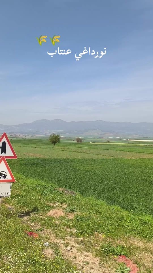 TikTok video thumbnail by dimo_026