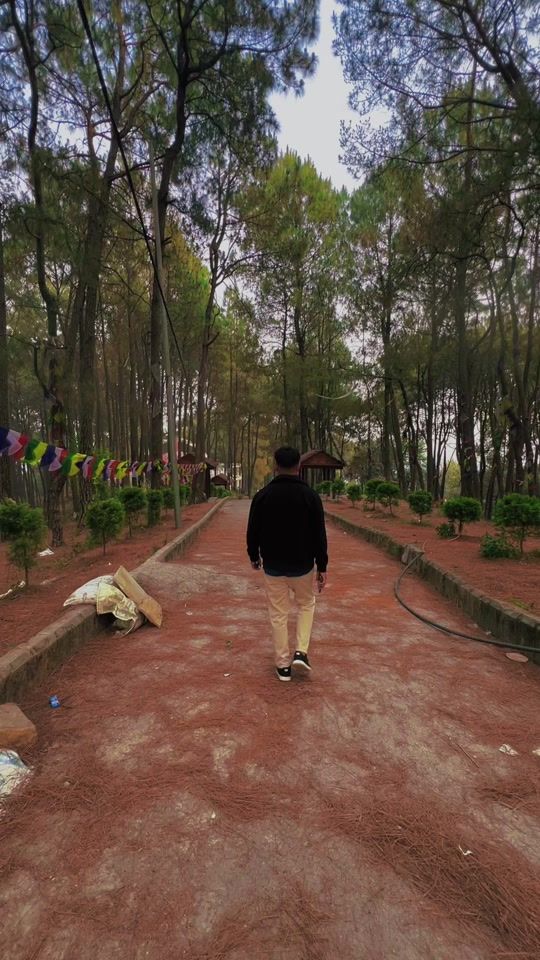 TikTok video thumbnail by birutmzdong