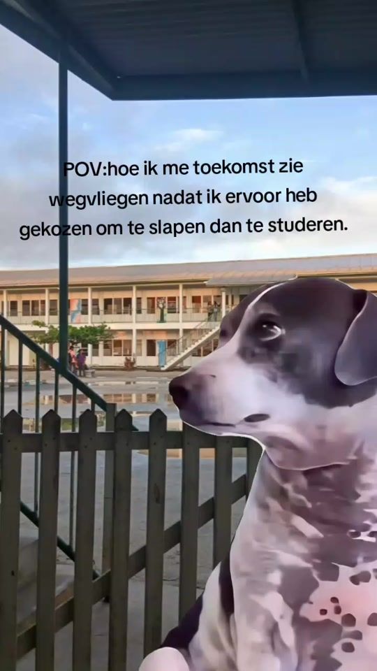 TikTok video thumbnail by meliontrack7