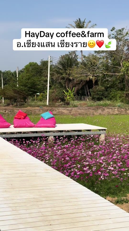 TikTok video thumbnail by noi.thanwarin