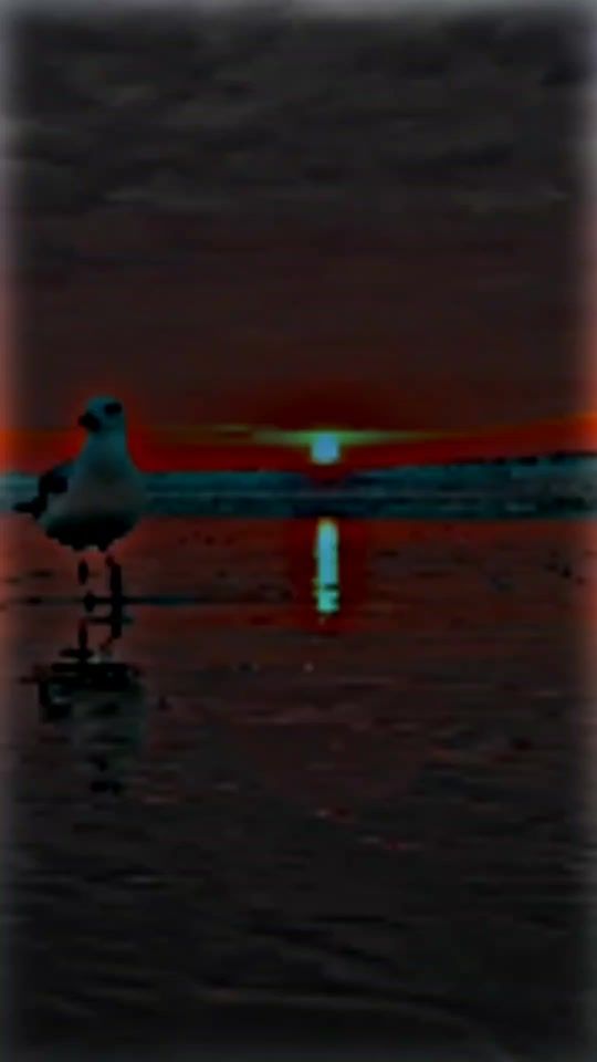 TikTok video thumbnail by sohailmalik646